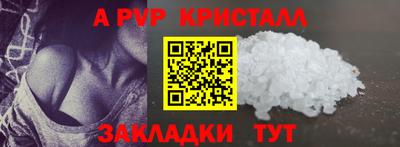 стаф Кунгур