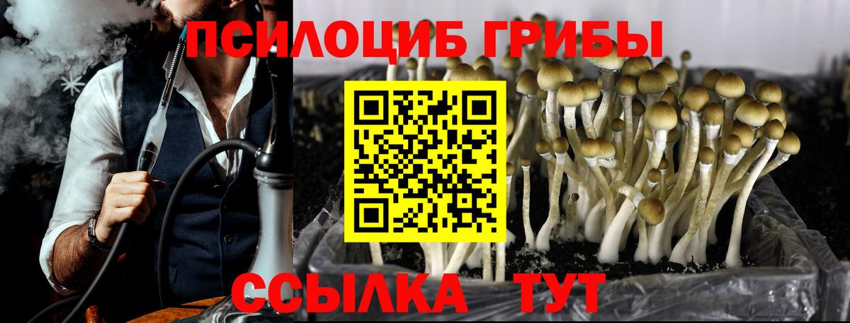 Когалым  Галлюциногенные грибы прущие грибы  Вход с VPN 